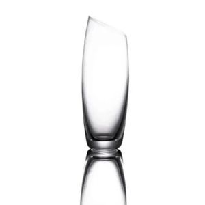 4 elegant Champagne Flutes